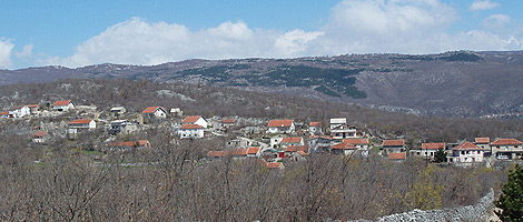 tribošić